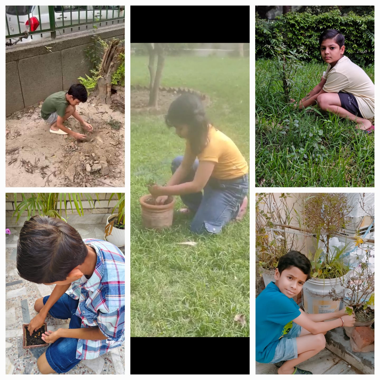 World Environment Day -5 June 2025